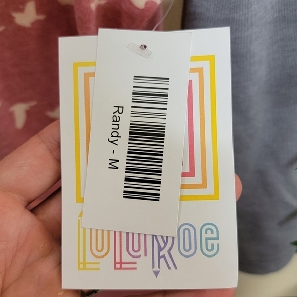 NWT LuLaRoe | Flying Bird Print Raglan Sleeve Randy Tee Size Medium - Picture 4 of 5